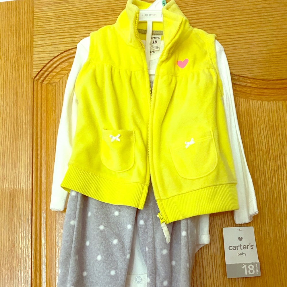 Carters 18month set